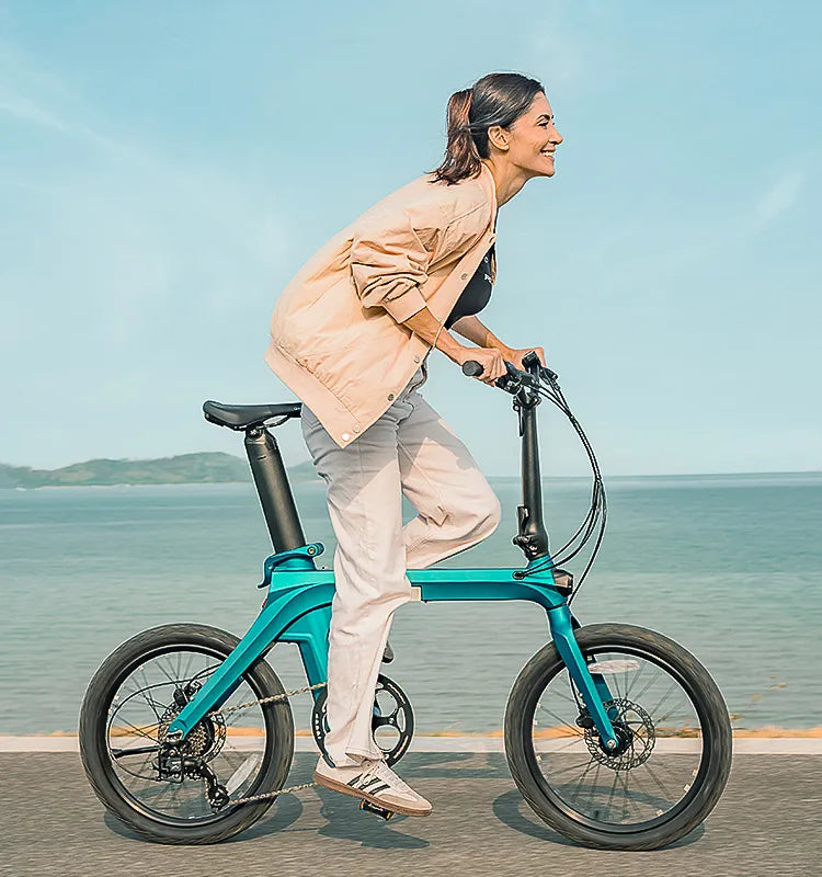 Fiido X Klapprad E-Bike mit Drehmomentsensor