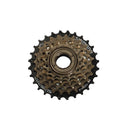 Fiido Shimano Getriebe-D2S/D3S/D4S